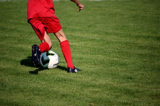 爱游戏真人体育娱乐-CBA球队完善伤病防护体系保障运动员健康和职业生涯，cba球员伤情报告